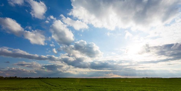 Les animaux peuvent-ils ressentir des tremblements de terre avant qu'ils ne surviennent?